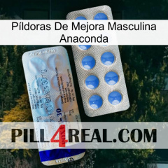 Píldoras De Mejora Masculina Anaconda 39